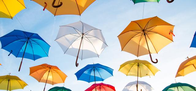 Need Liability Umbrella Policy | Whitener Capital Management